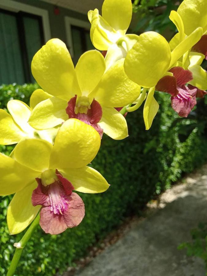 Blue Orchid Beach Krabi - SHA Certified Ao Nam Mao Exterior foto